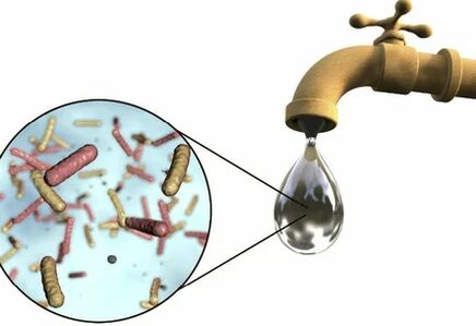 Parasiten an engem Tropfen Waasser aus dem Kran
