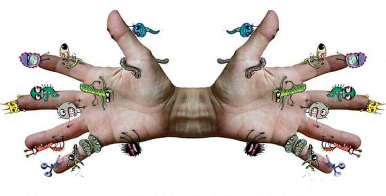 Parasiten an Helminhs