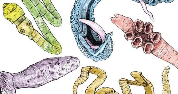 Parasiten am mënschleche Kierper