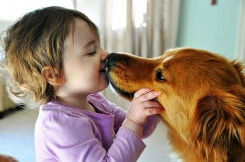 Wuerm Infektioun vun engem Hond